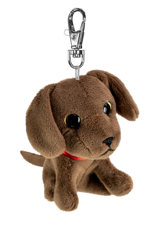 Lumo Labrador retriever Choco mini