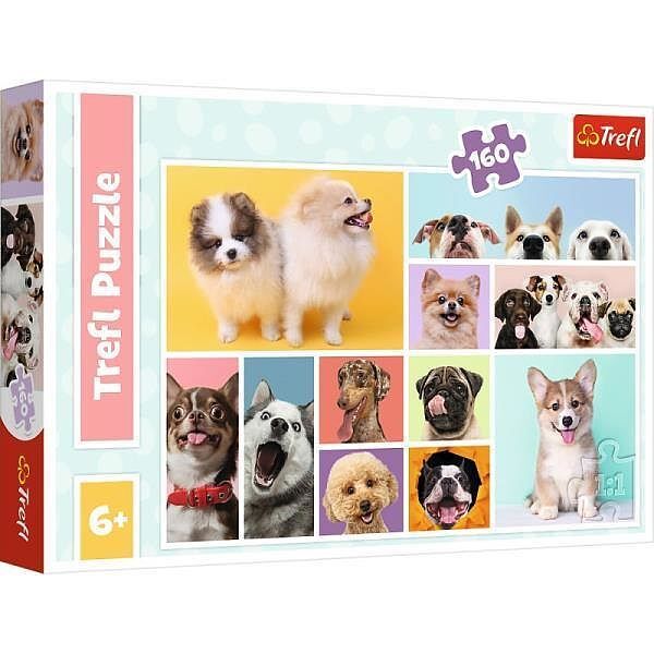 Puzzle 160 psia przyjaźń 15412