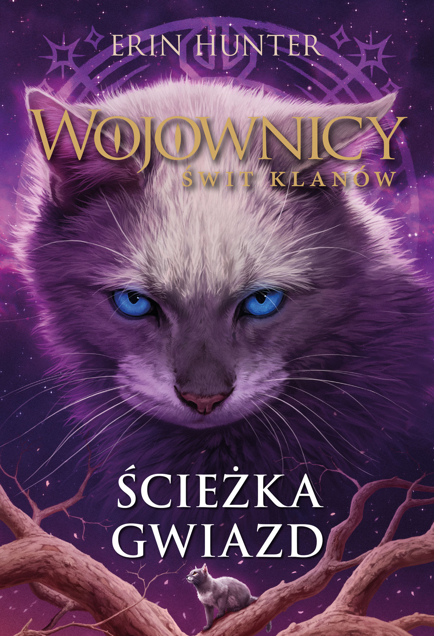 Ścieżka gwiazd, Wojownicy (e-book)