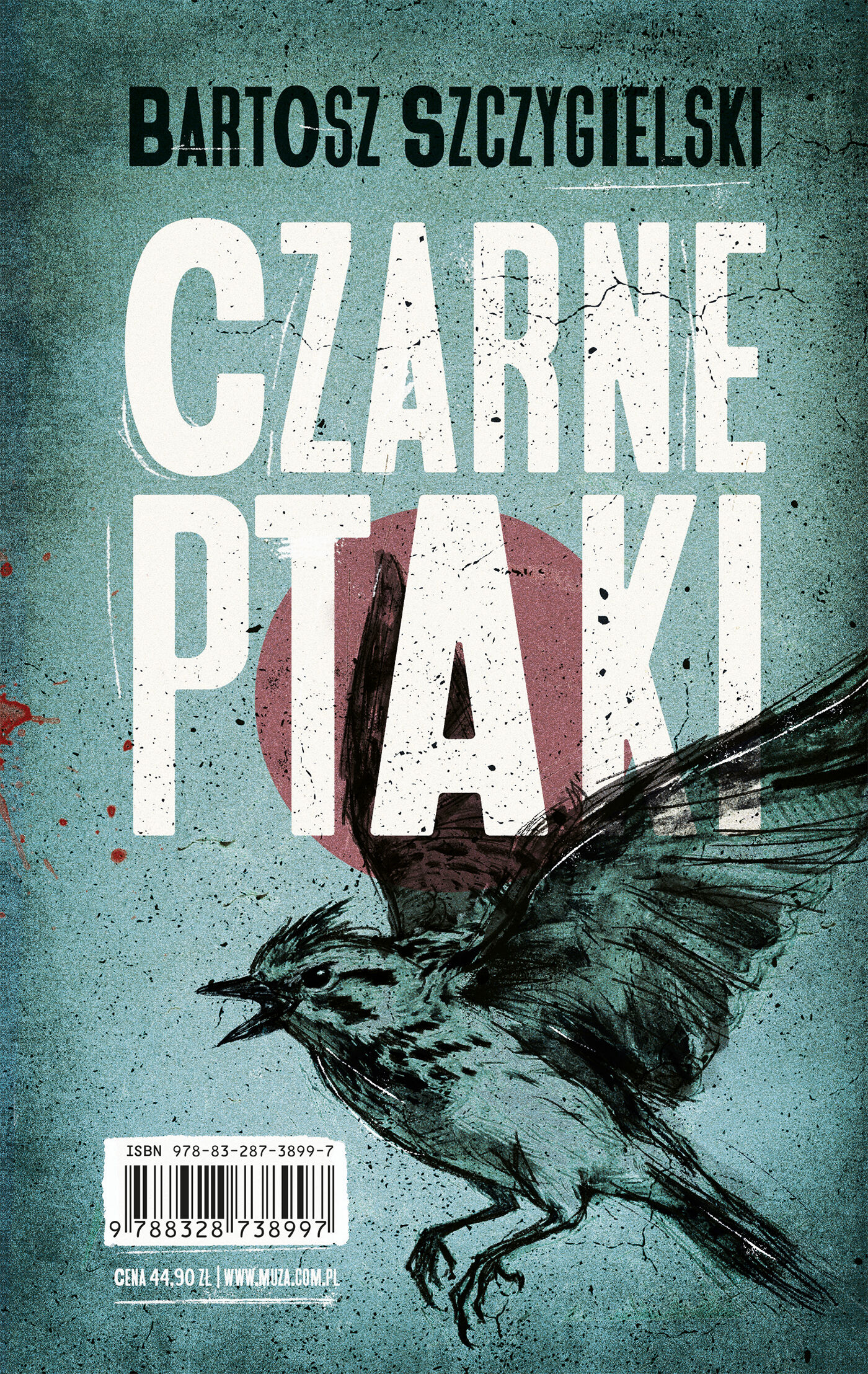 Czarne ptaki (e-book)