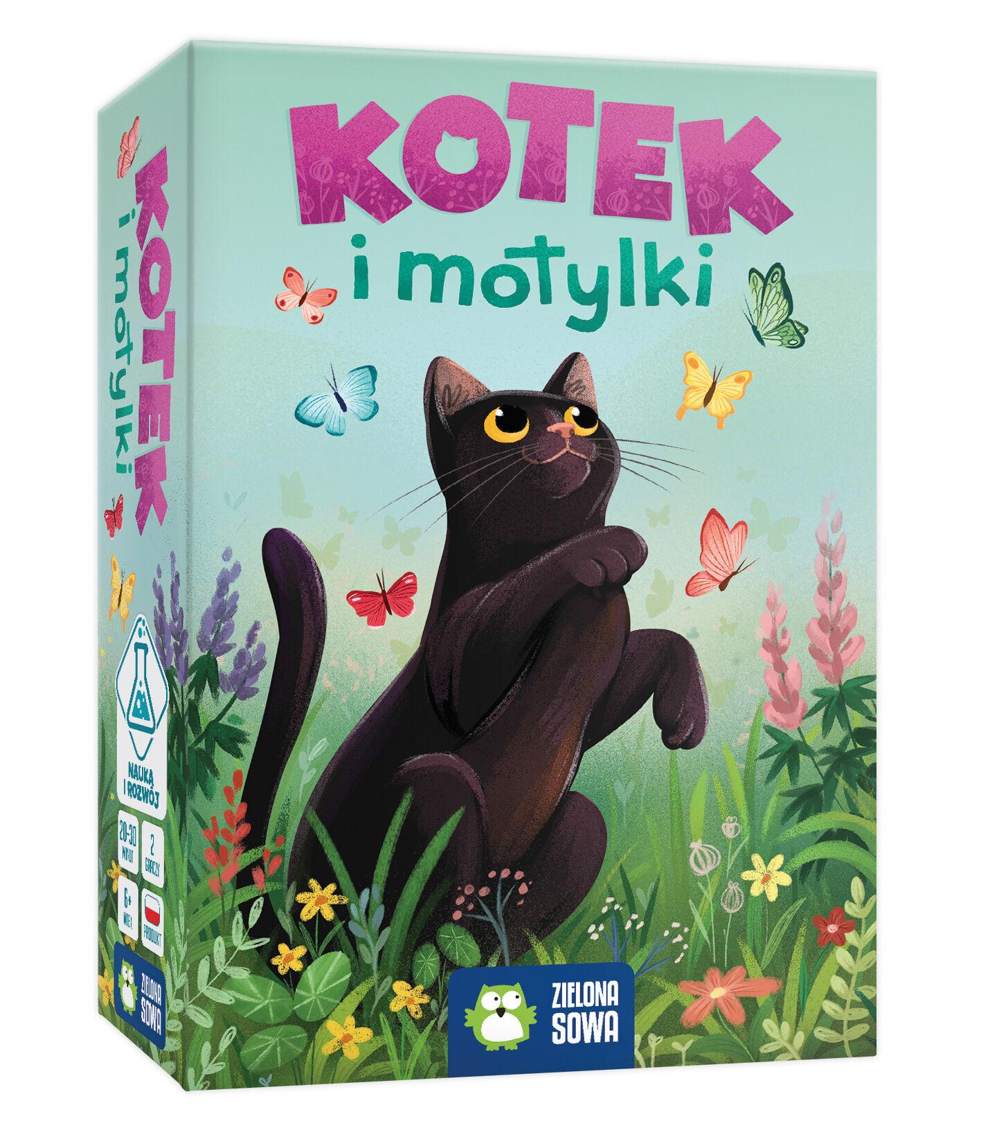 Kotek i motylki