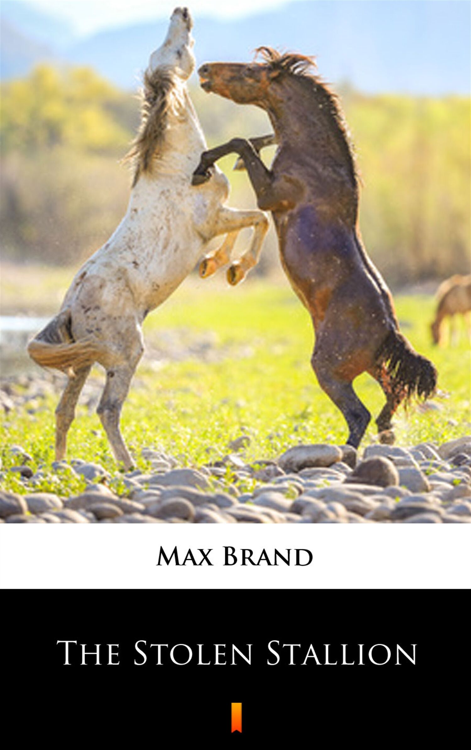 The Stolen Stallion (e-book)