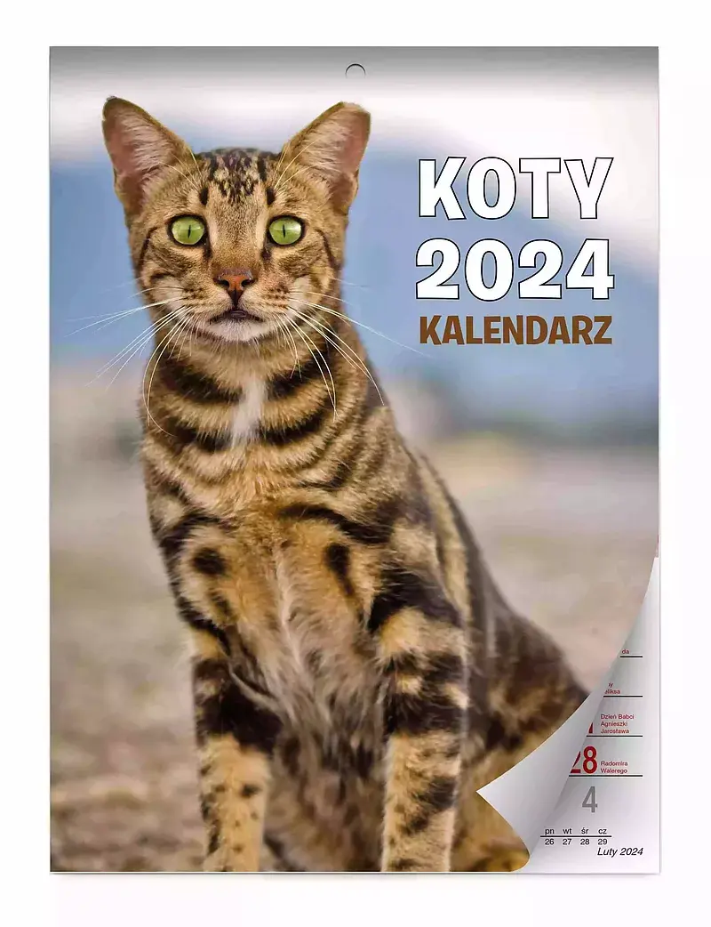 Kalendarz 2024 koty ścienny