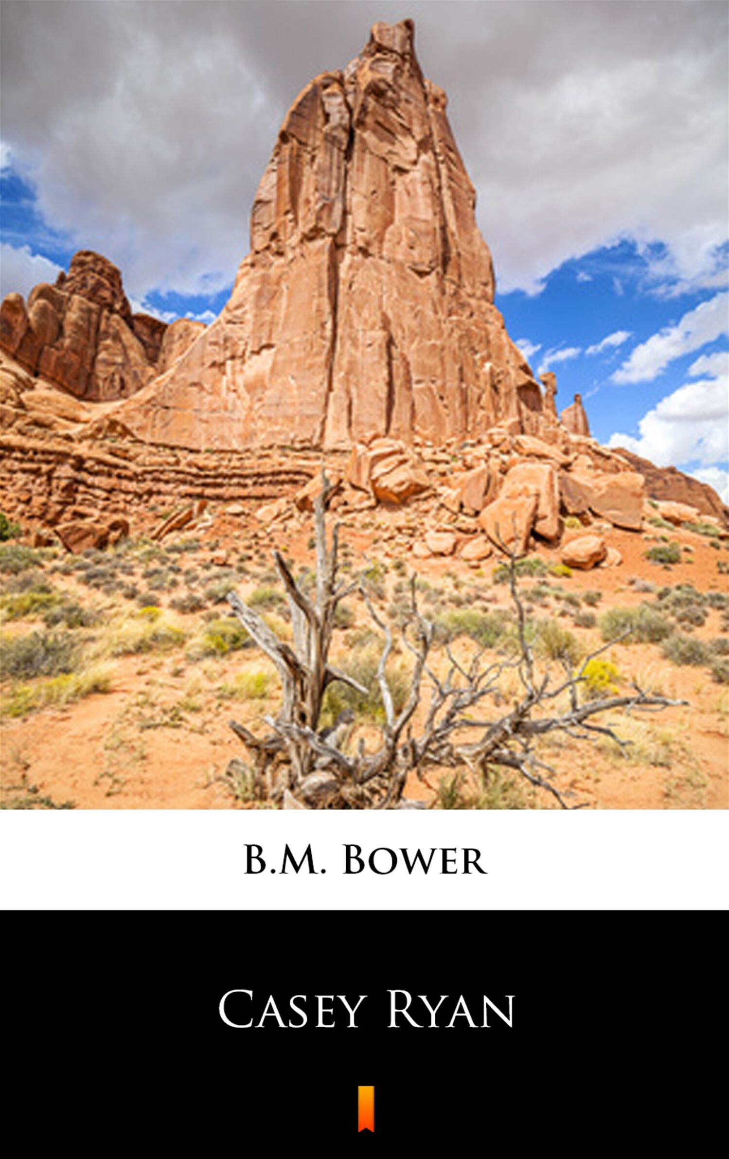 Casey Ryan (e-book)