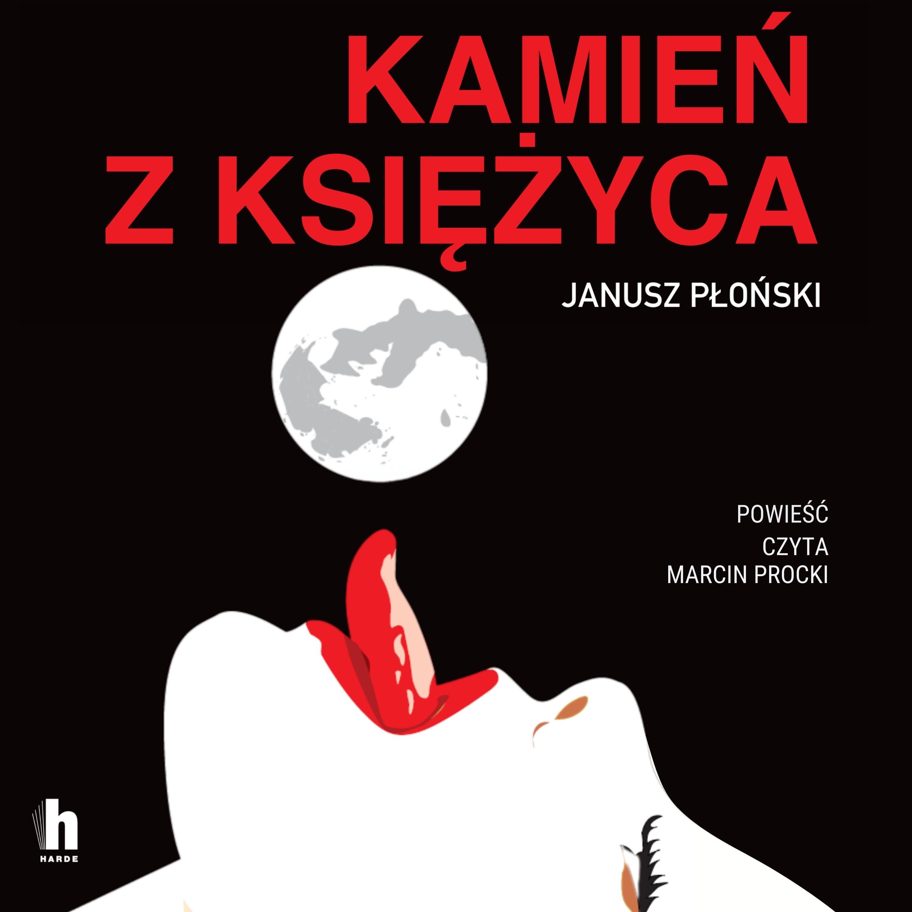 Kamień z Księżyca (audiobook MP3)