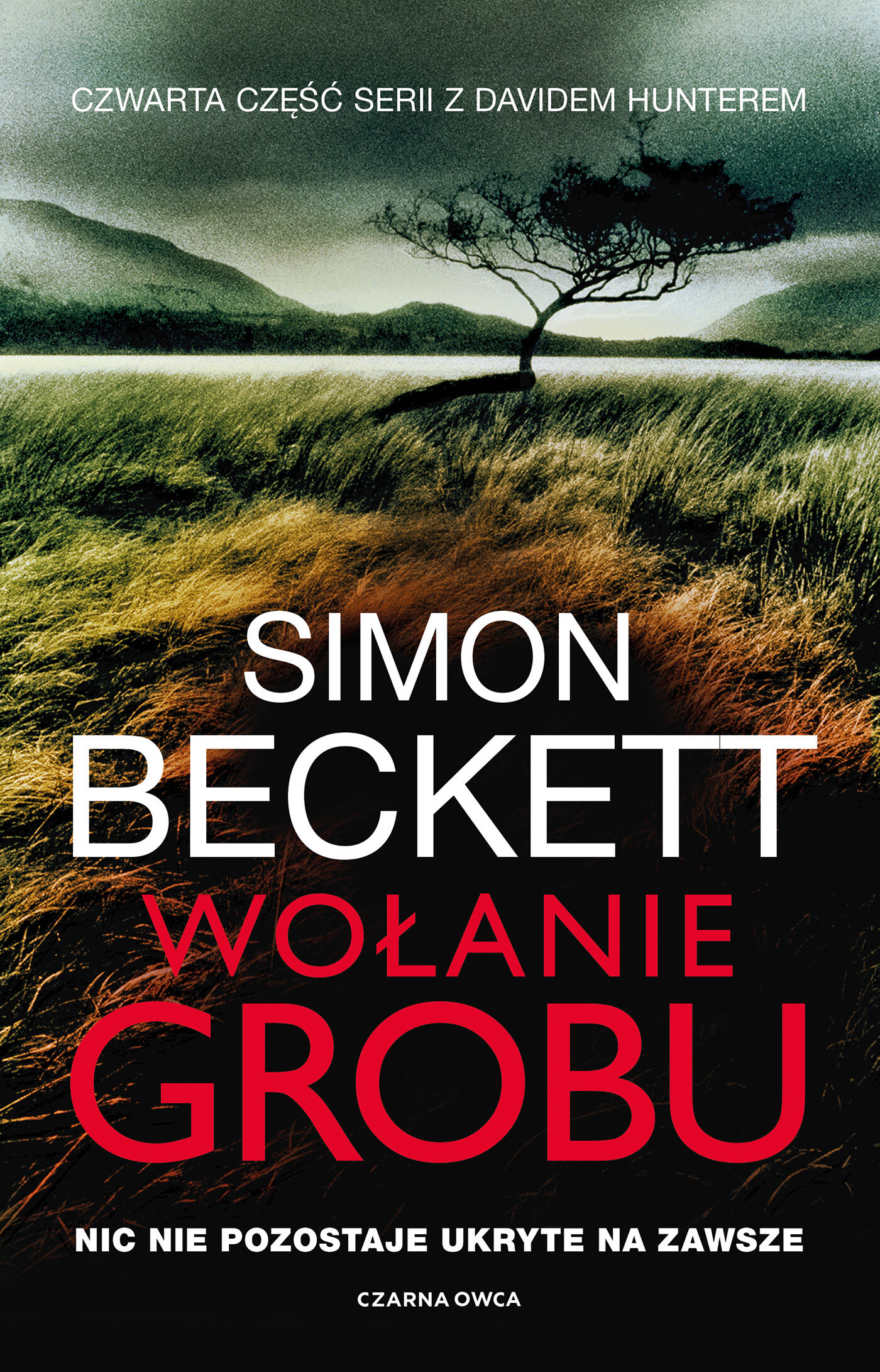 Wołanie grobu (e-book)
