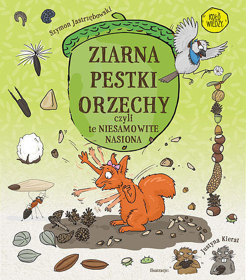 ZIARNA PESTKI ORZECHY czyli te niesamowite nasiona