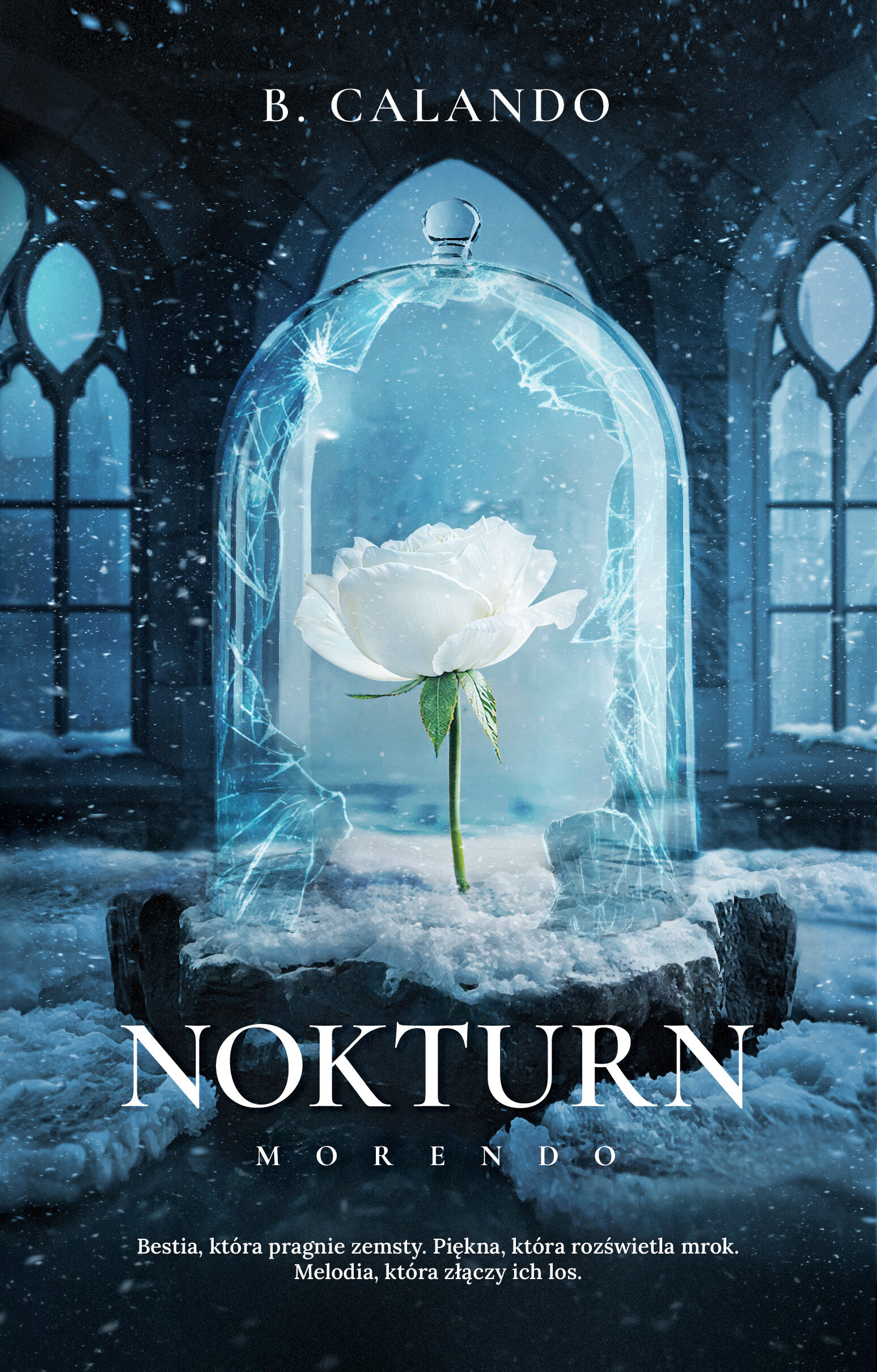 Nokturn (e-book)