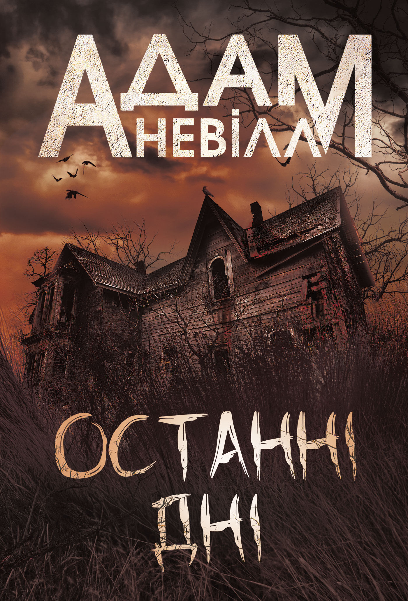 Останні дні: роман (e-book)