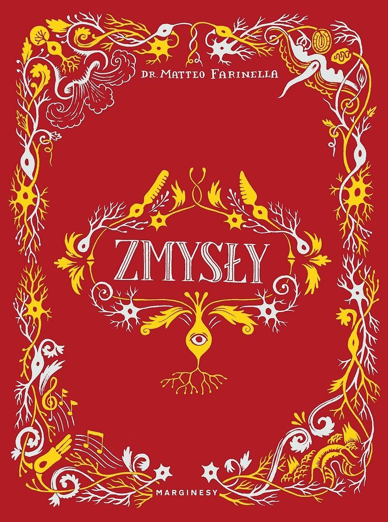 Zmysły