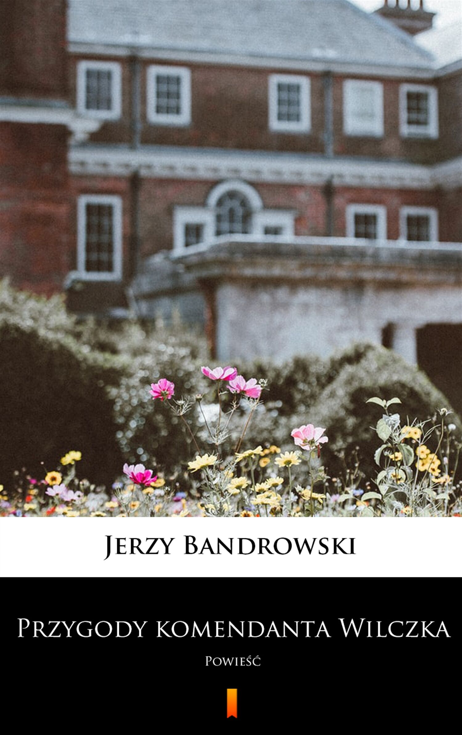 Przygody komendanta Wilczka (e-book)