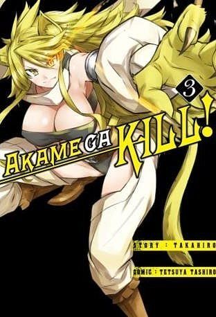 Zabójcza Akame (Akame ga Kill) - 03
