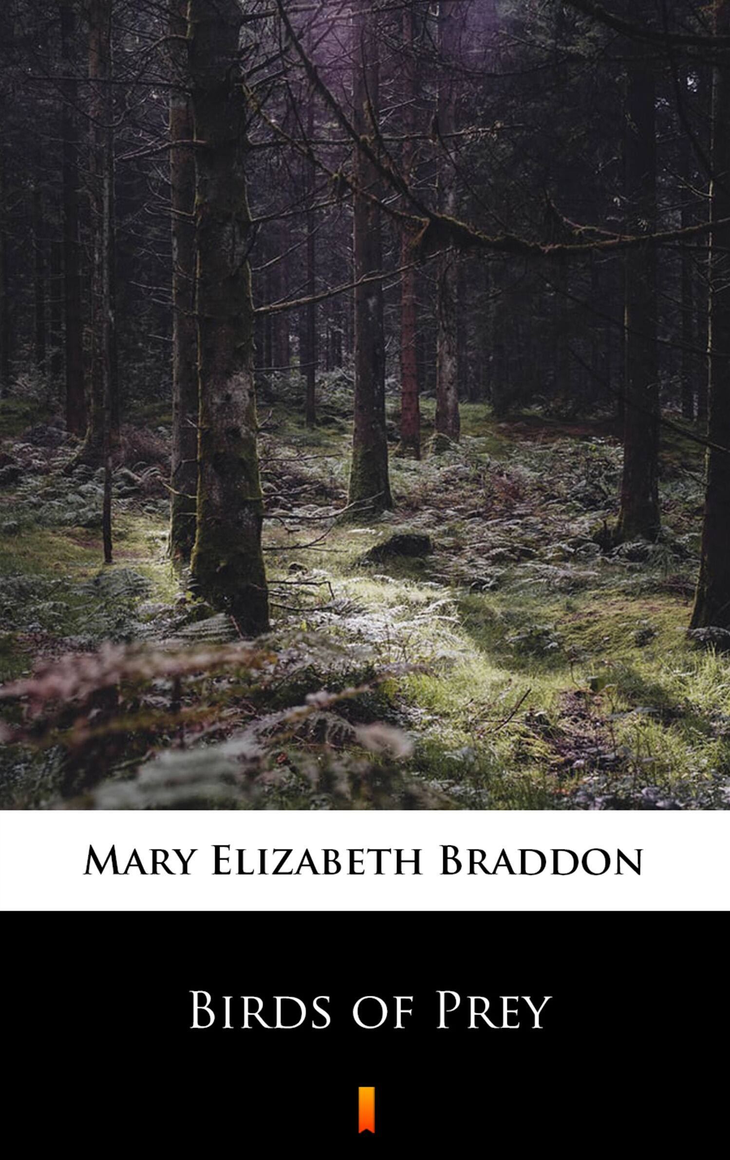 Birds of Prey (e-book)