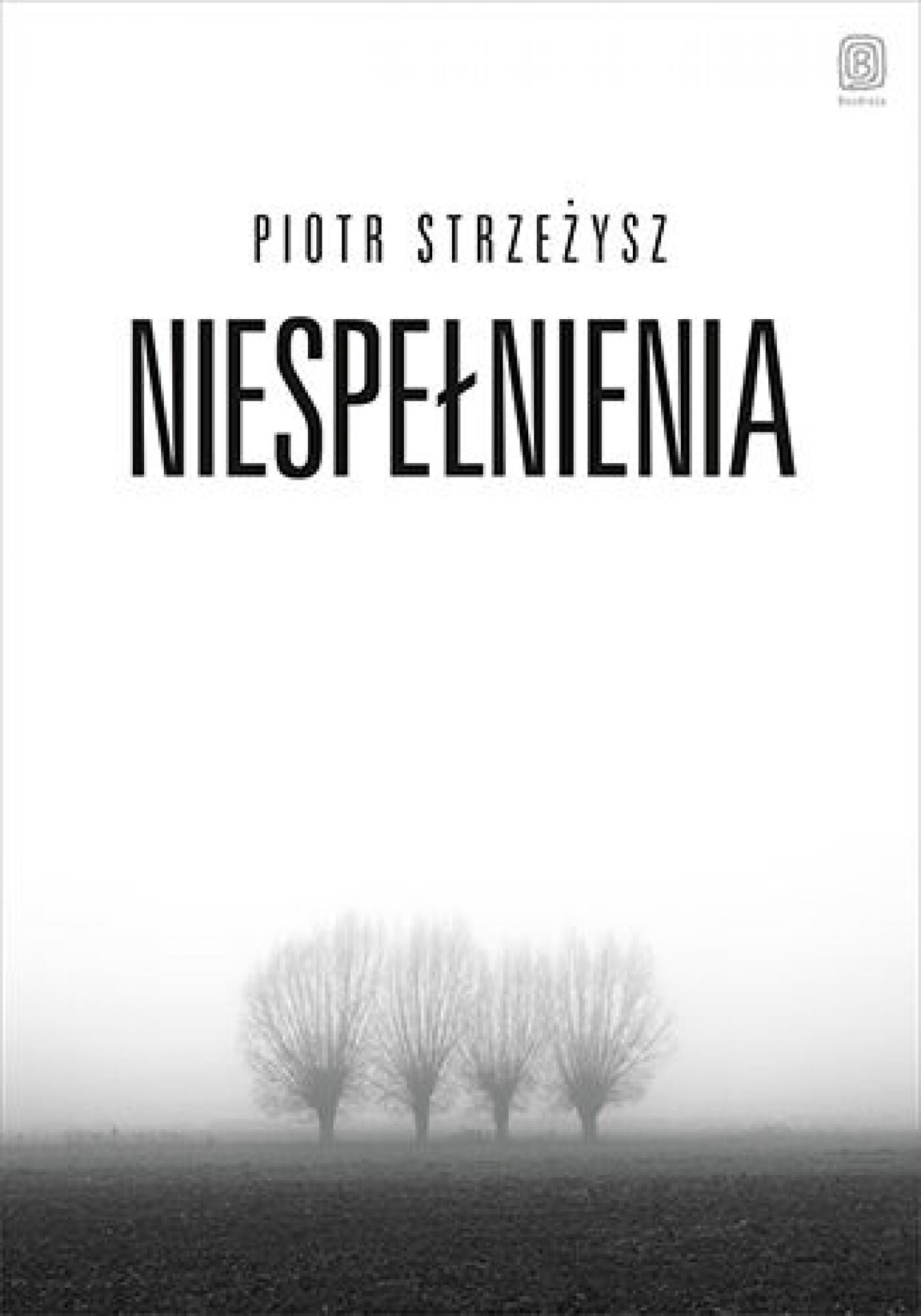 Niespełnienia (e-book)