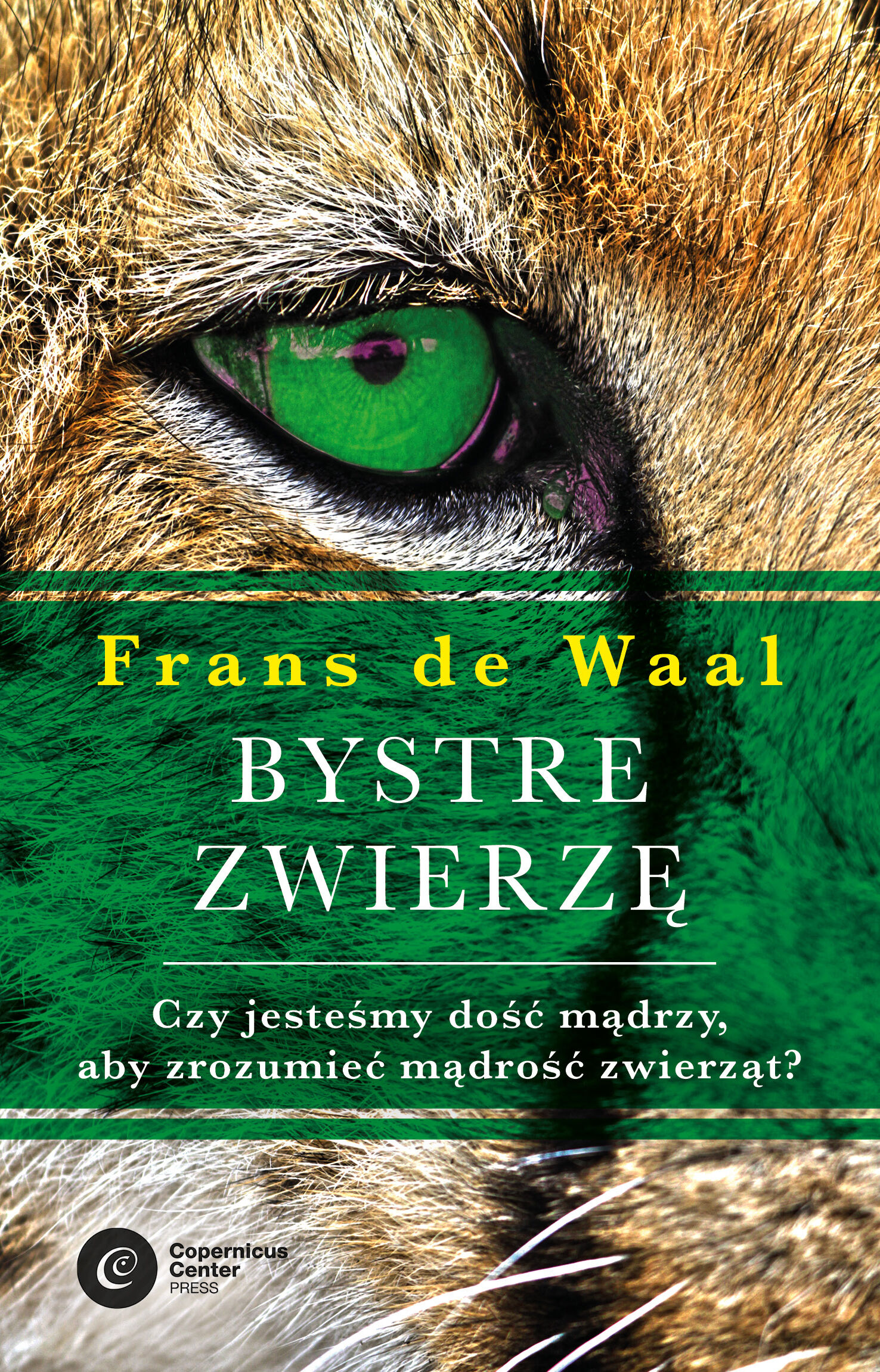 Bystre zwierzę czy jesteśmy dość mądrzy aby zrozumieć bystrość zwierząt