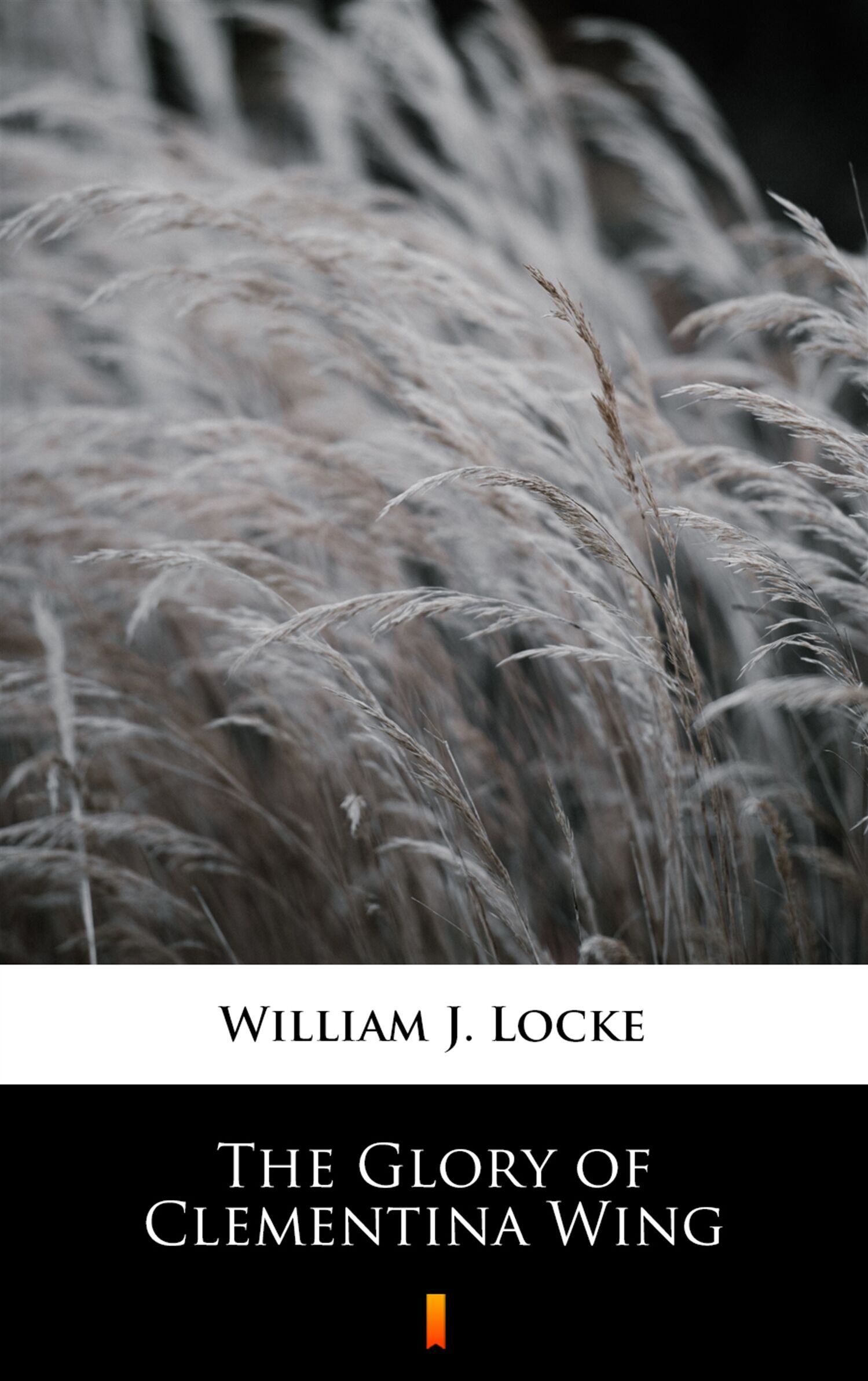 The Glory of Clementina Wing (e-book)