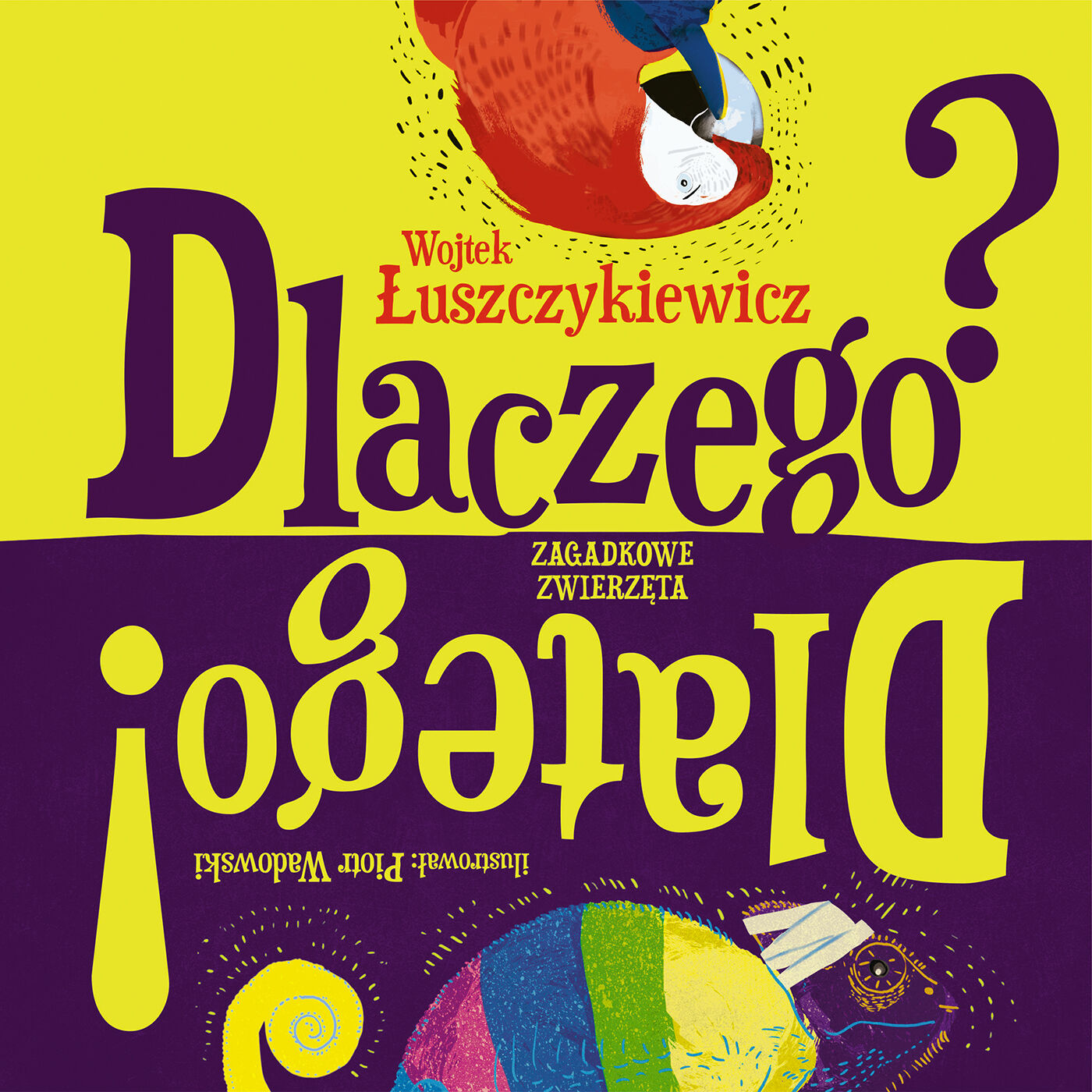 Dlaczego? Dlatego!