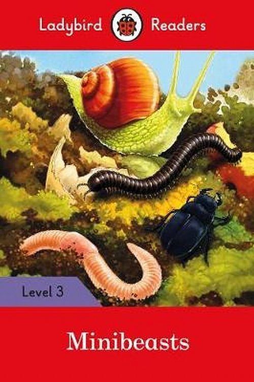 Minibeasts Level 3