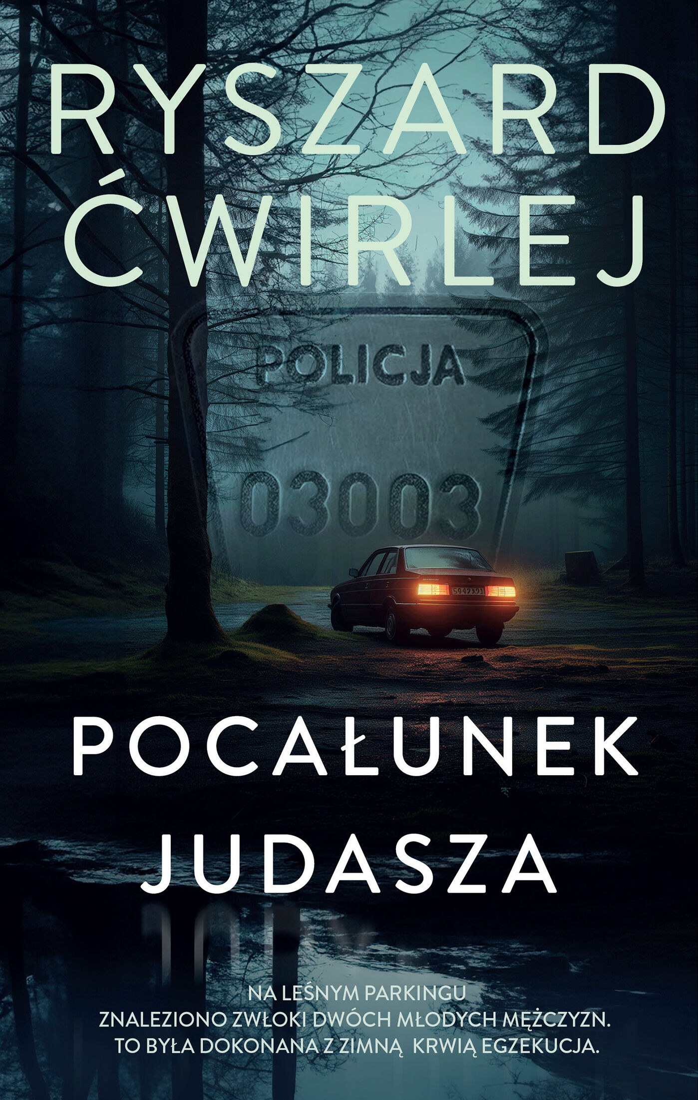 Pocałunek Judasza (e-book)