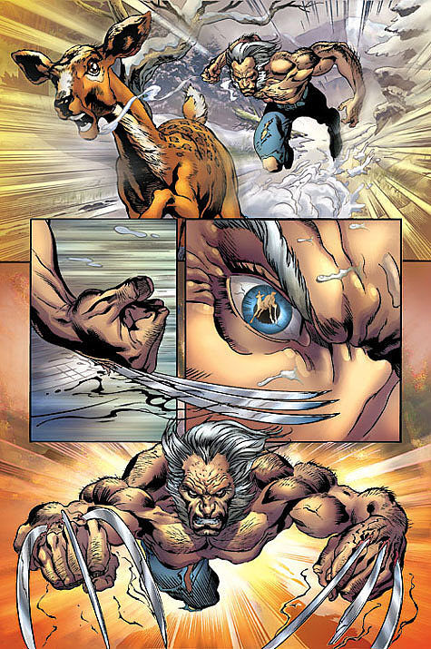 Wolverine - 1 - Koniec. Część 1