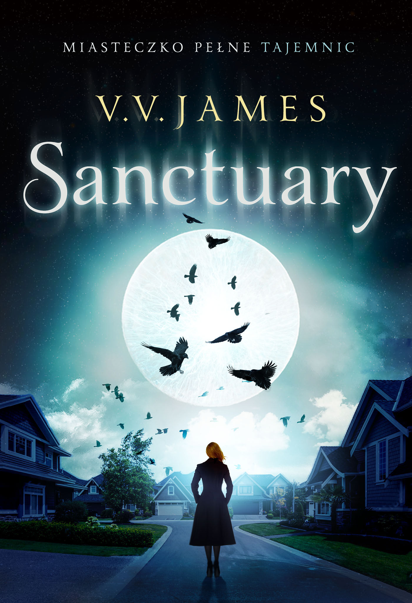 Sanctuary (e-book)