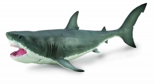 Megalodon 1;40