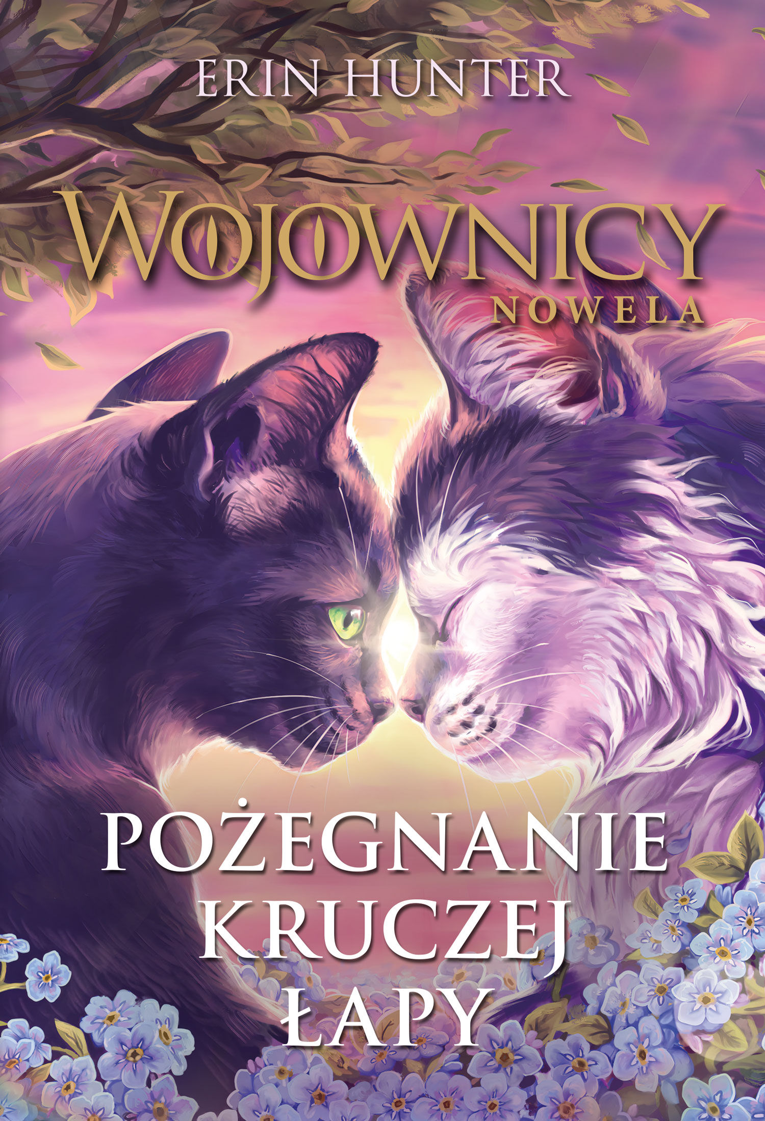 Pożegnanie Kruczej Łapy (e-book)