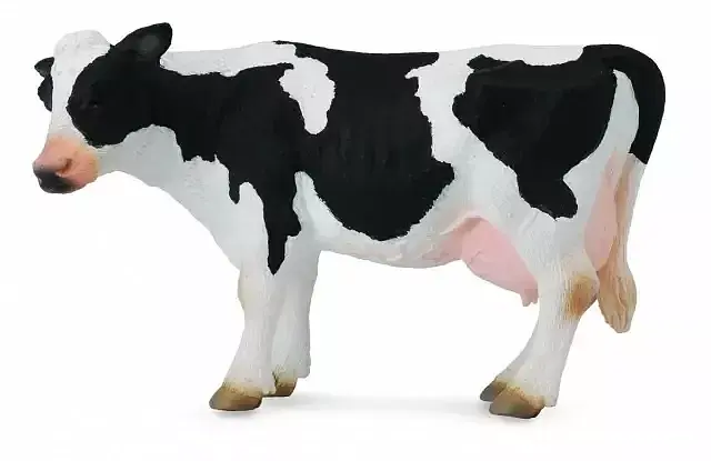 Krowa Friesian L