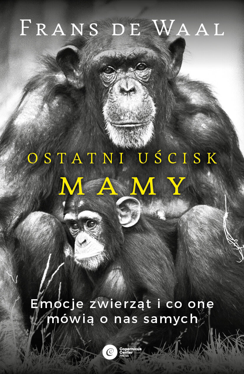 Ostatni uścisk Mamy (e-book)