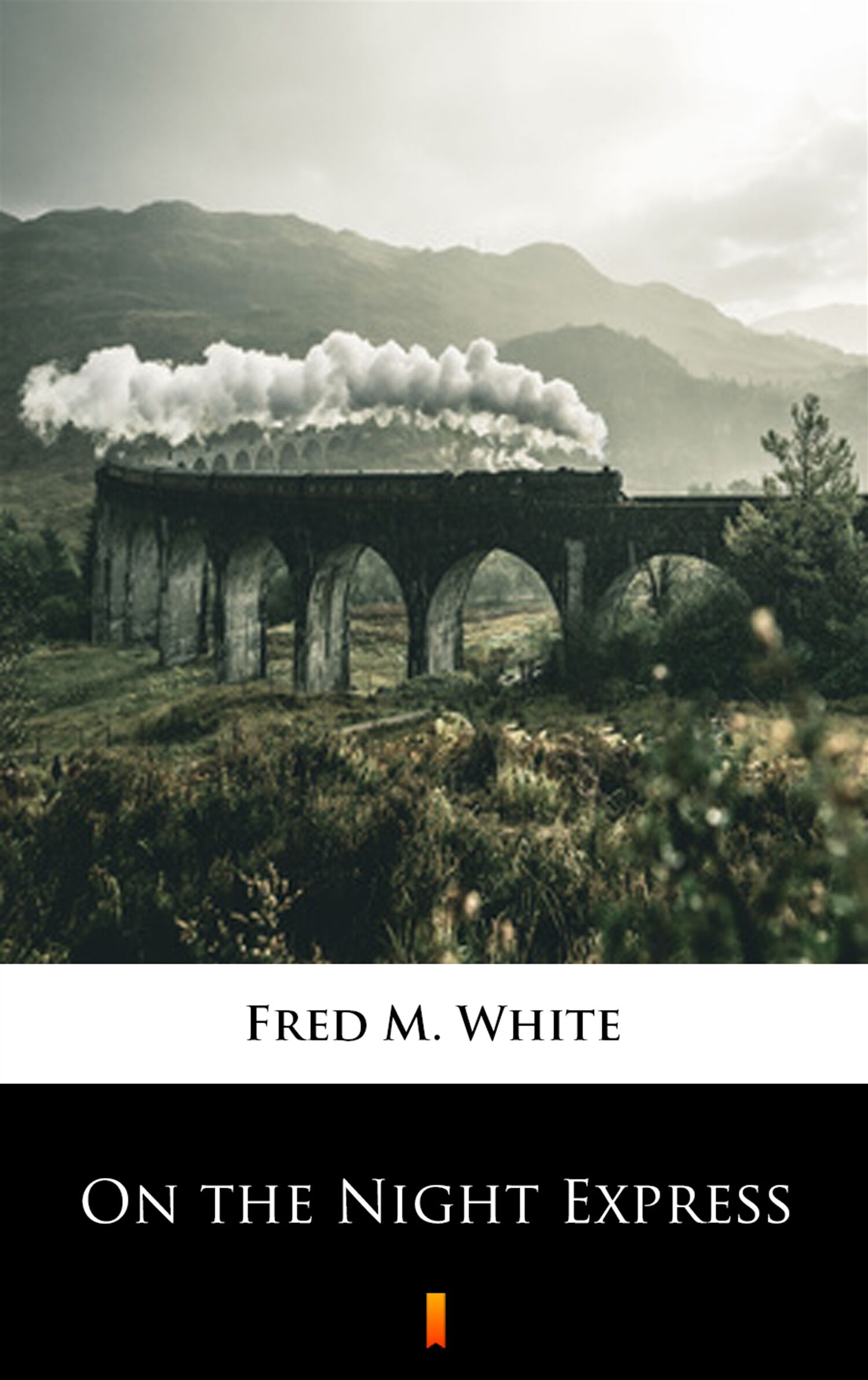 On the Night Express (e-book)