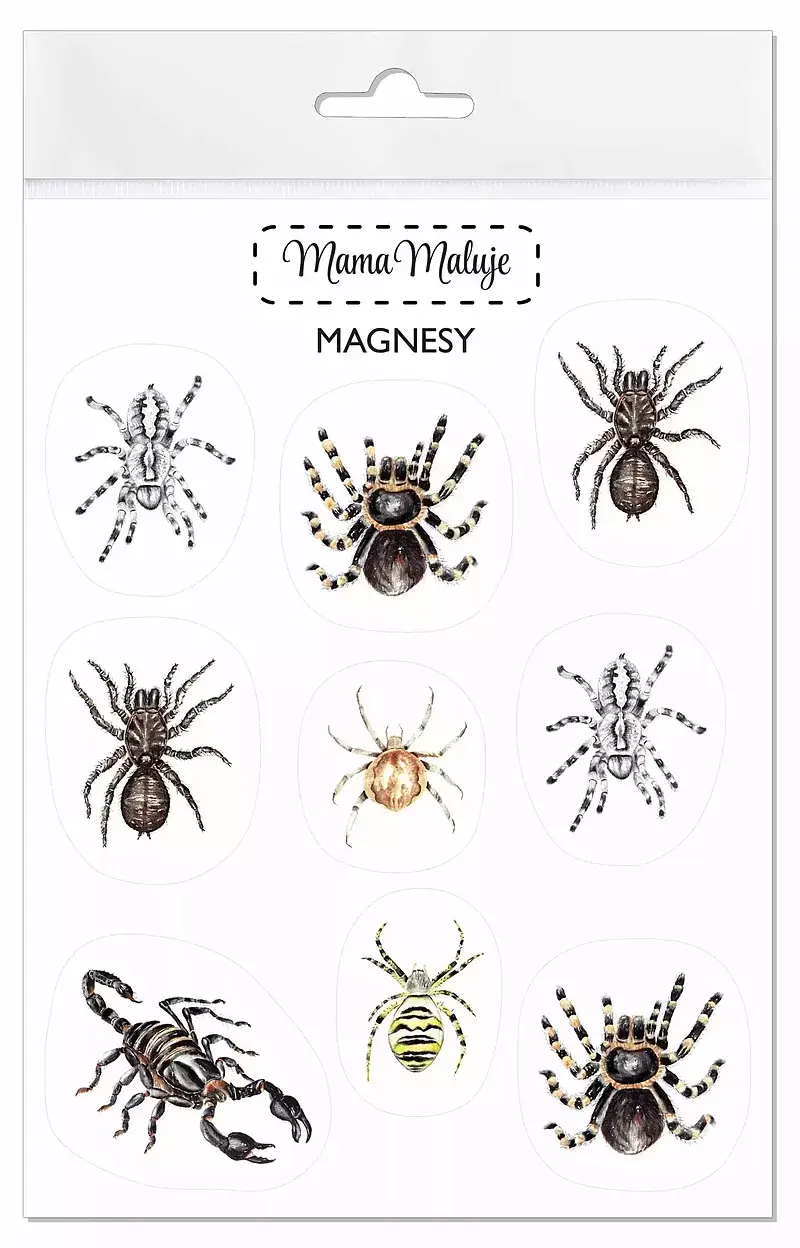 Magnesy pajęczaki
