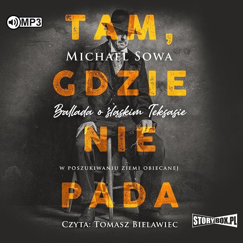 Tam gdzie nie pada (audiobook CD)