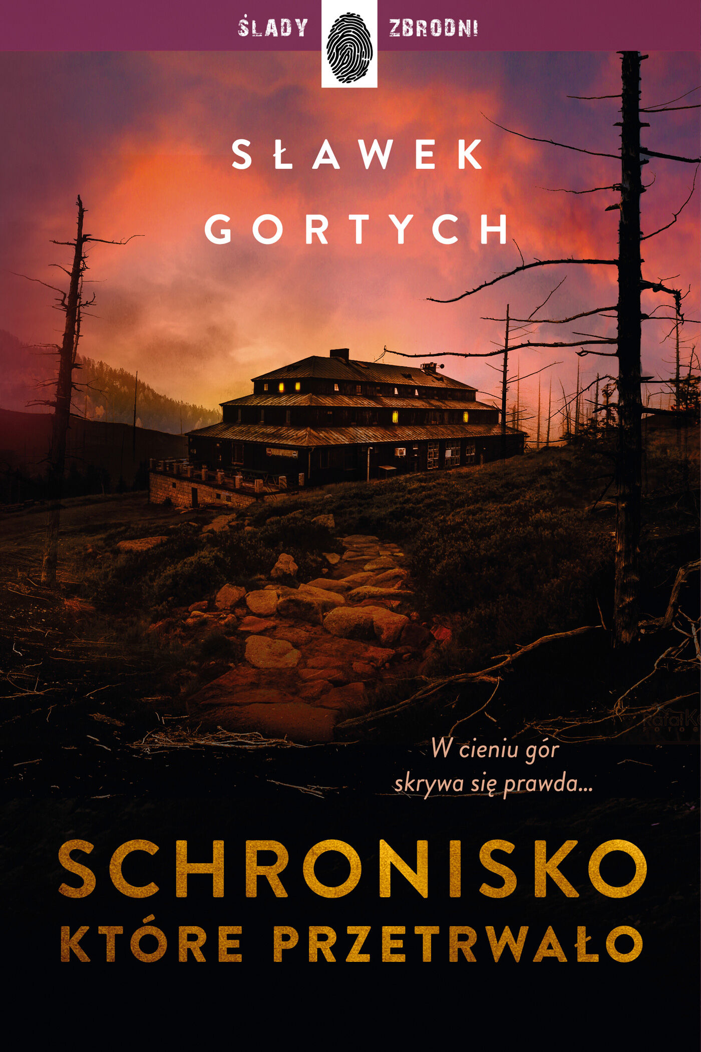 Schronisko, które przetrwało (e-book)