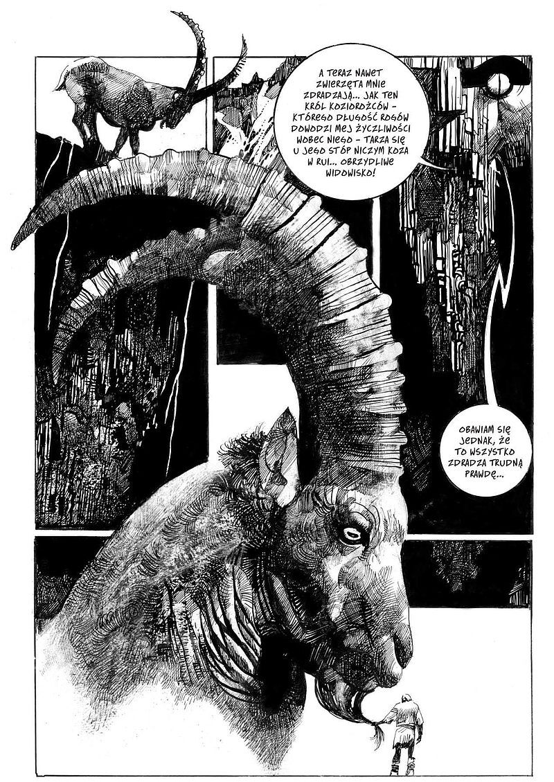 Toppi. Kolekcja. Tom 1: Zaczarowany świat
