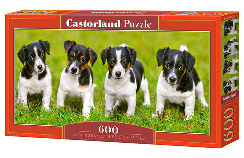 Puzzle 600 Jack Russell Terrier Puppies
