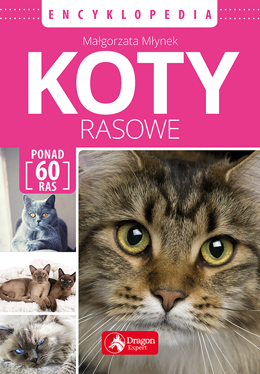 Koty rasowe. Encyklopedia