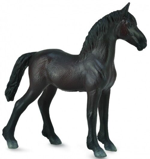 Źrebię Friesian Foal - Czarne