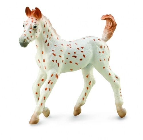 Koń Knabstrupper Foal