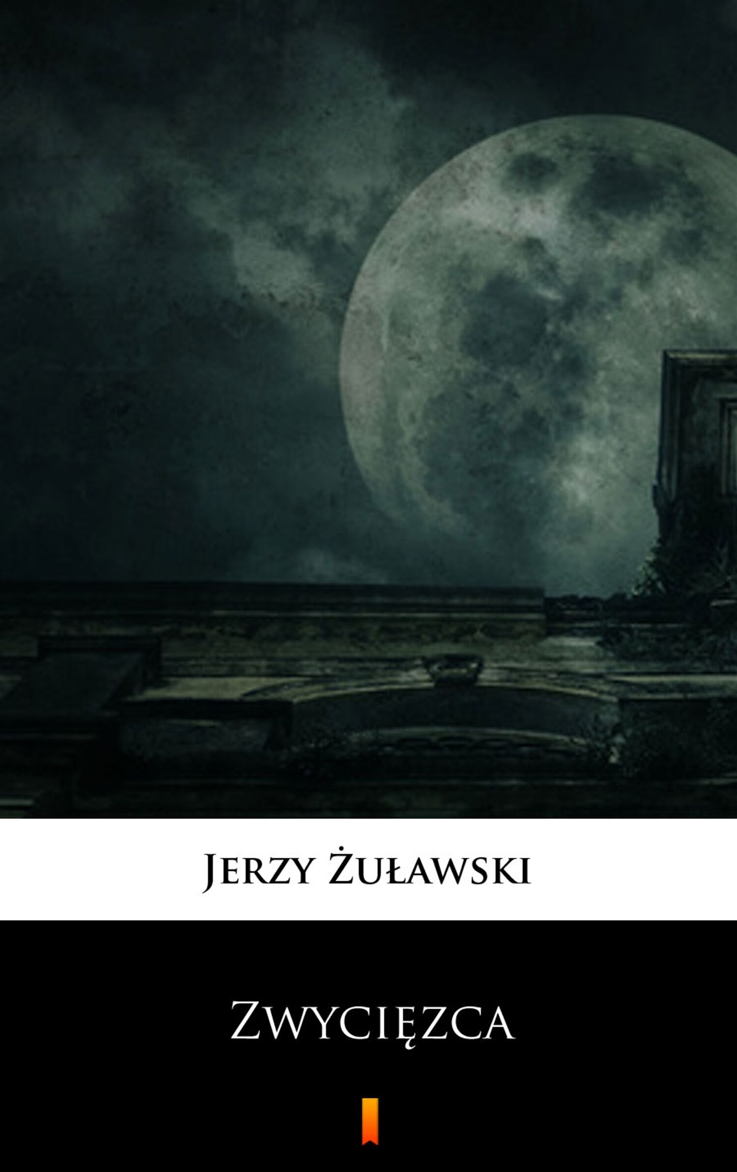 Zwycięzca (e-book)