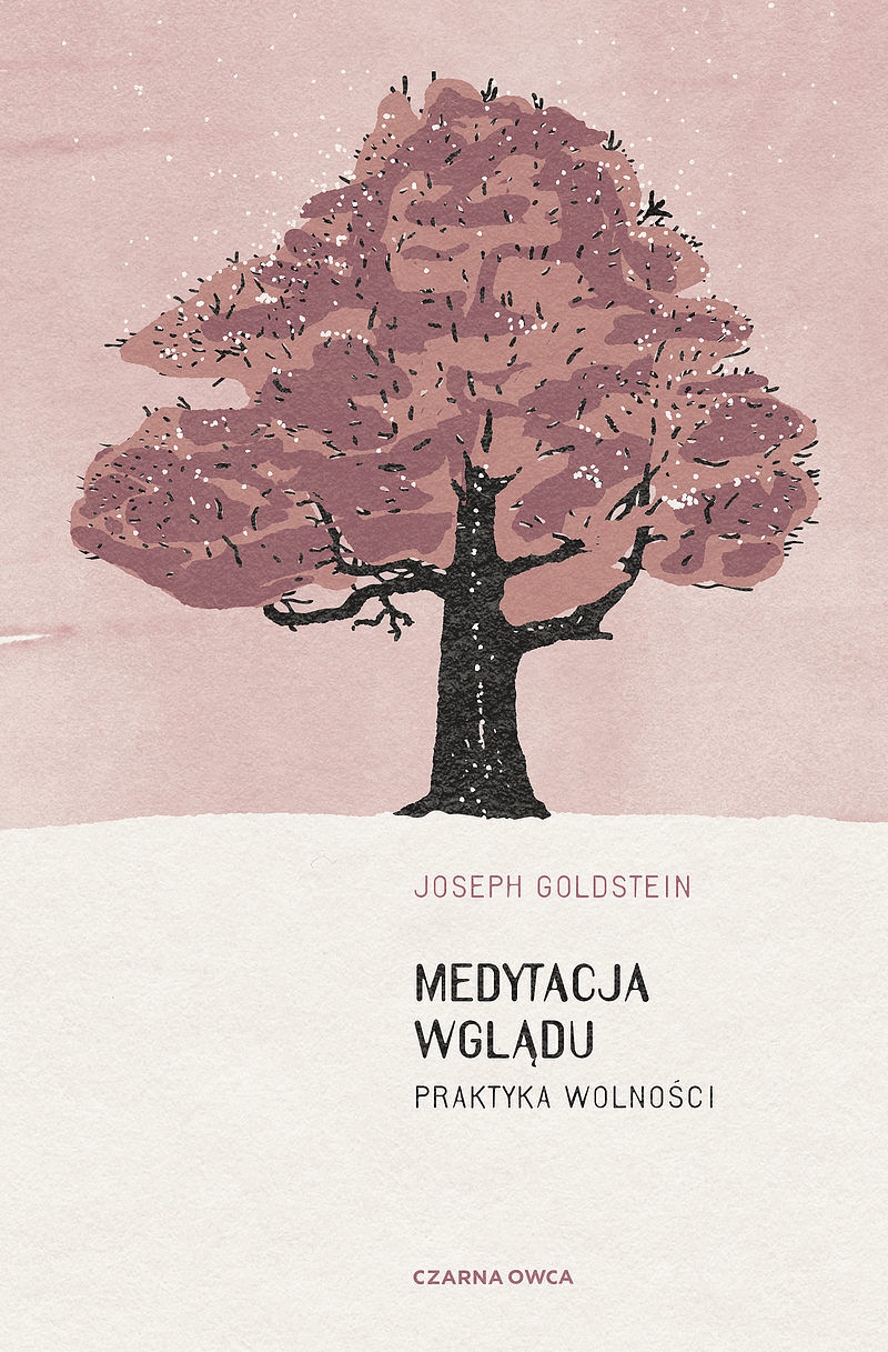 Medytacja wglądu