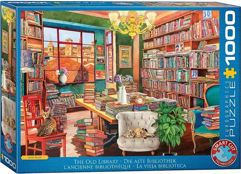 Puzzle 1000 the old library 6000-5888