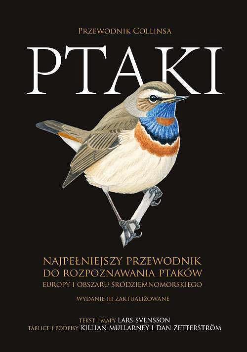 Ptaki. Przewodnik collinsa
