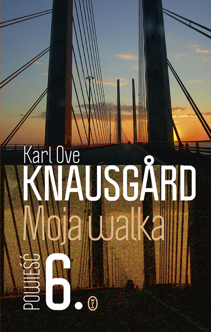 Moja walka. Księga 6 (e-book)