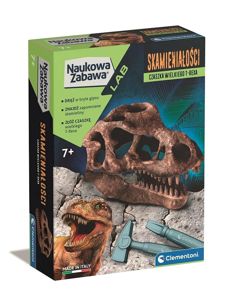Skamieniałości czaszka t-rexa 50790