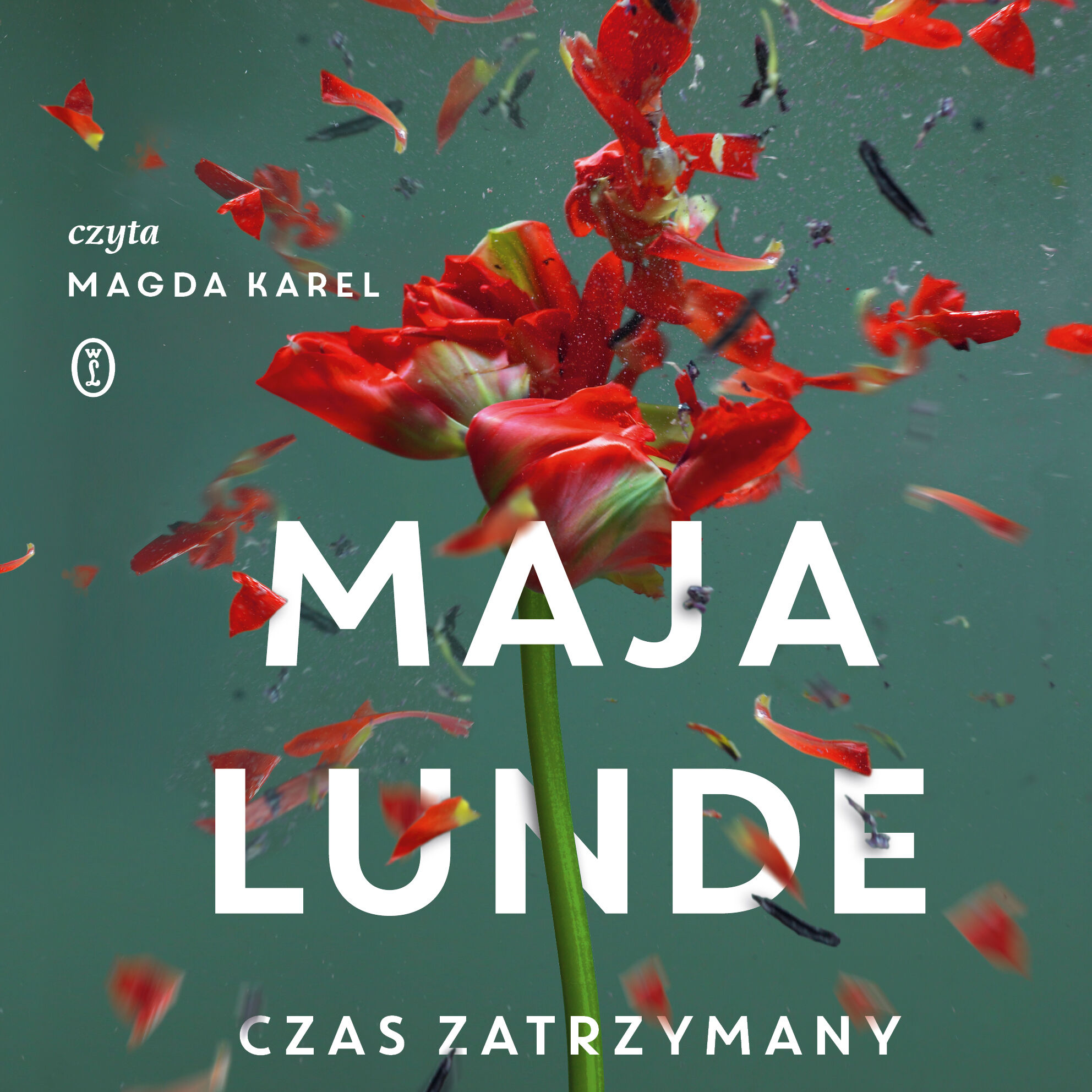 Czas zatrzymany (audiobook MP3)