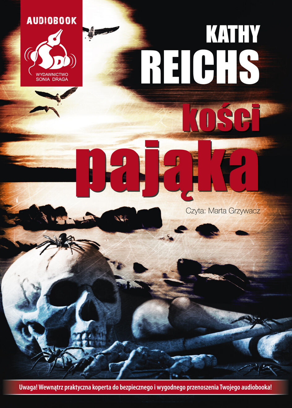 Kości Pająka (audiobook CD)