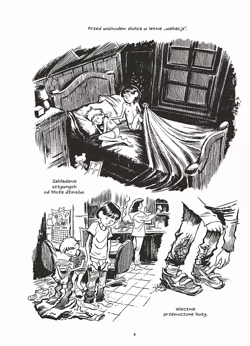 Żeń-szeń. Zgniłe korzenie