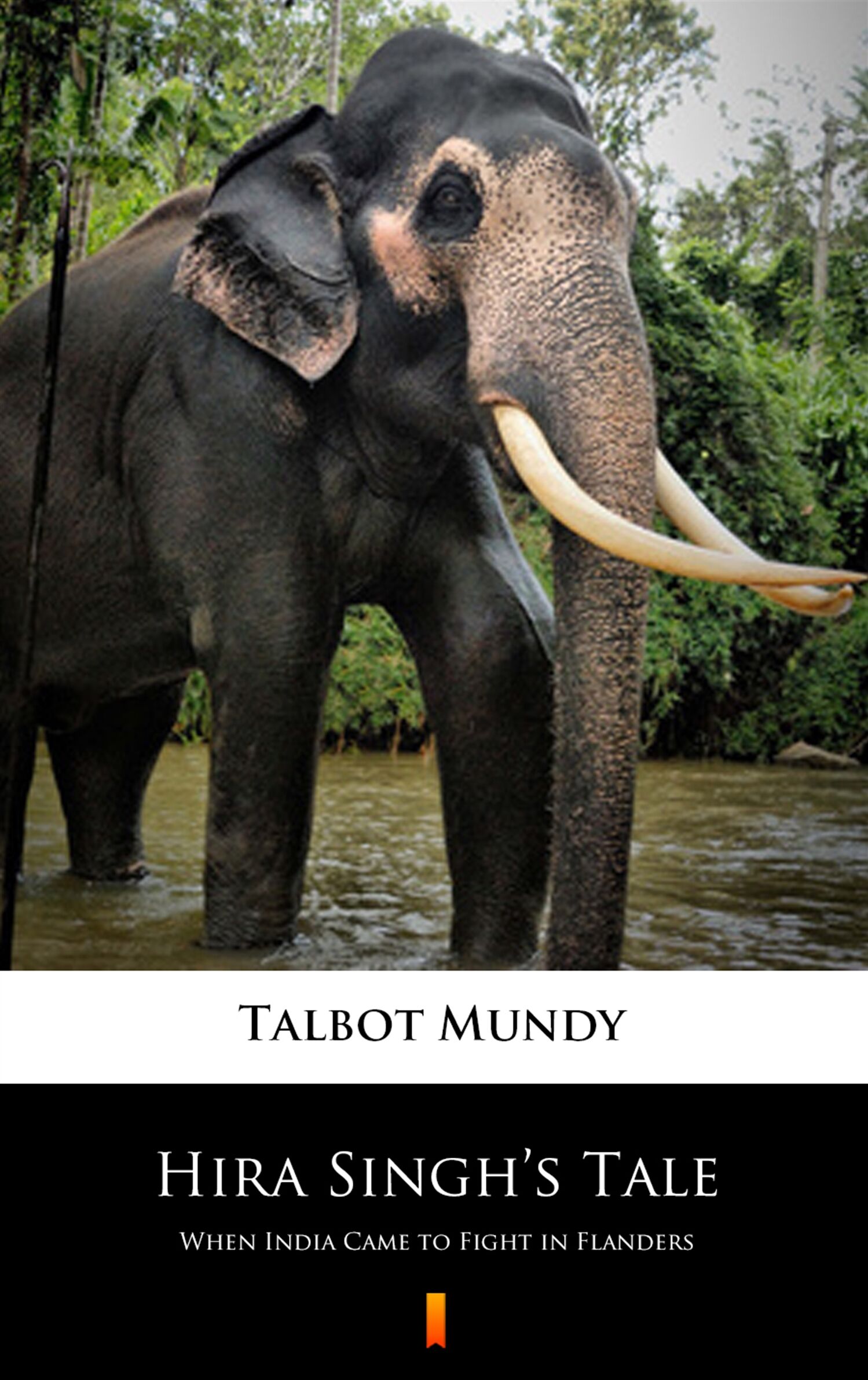 Hira Singh’s Tale (e-book)