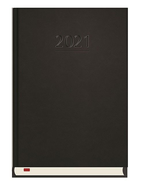 Terminarz 2021 powszechny mip czarny