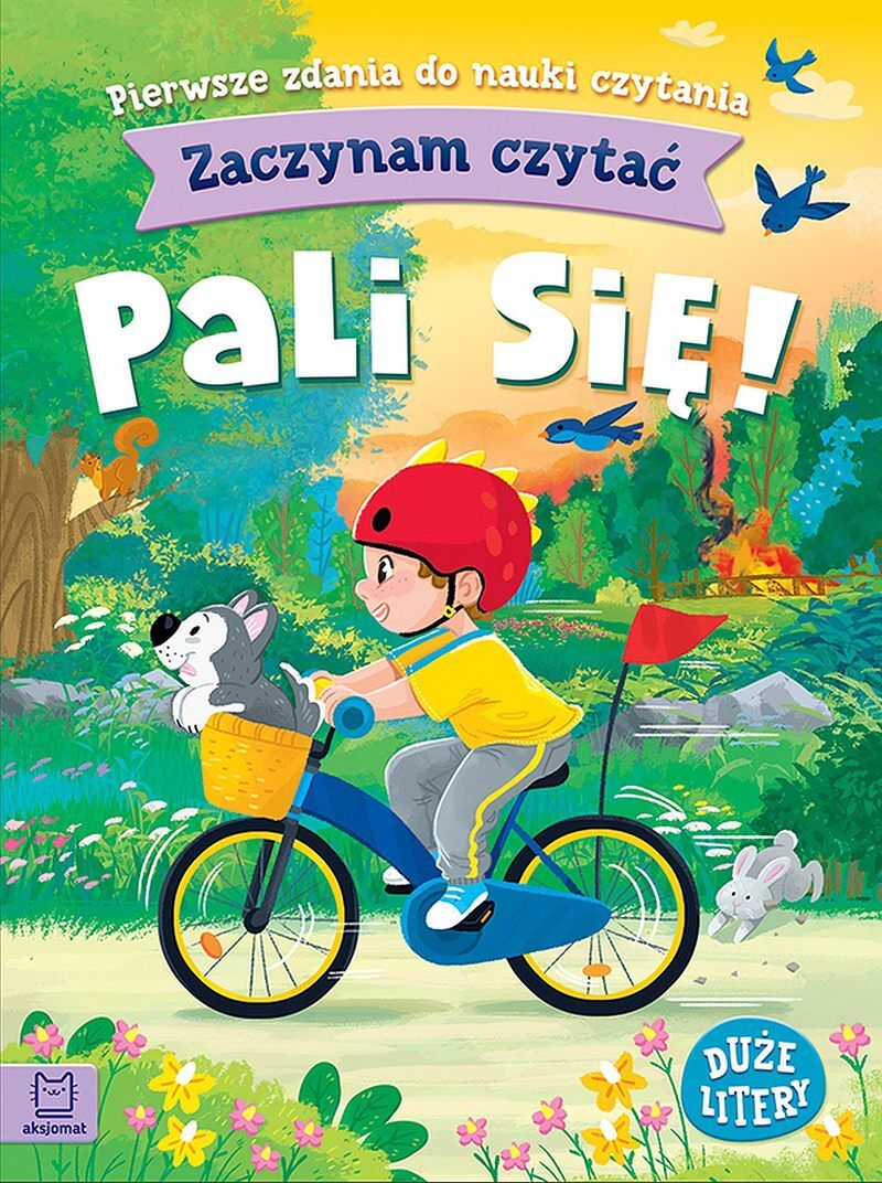Zaczynam czytać. Duże litery. Pierwsze zdania do nauki czytania. Pali się!